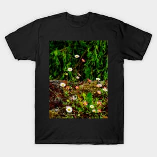 The Wild Wall T-Shirt